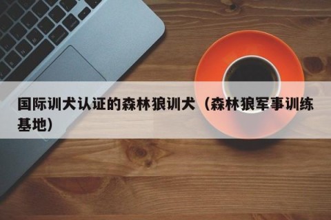 国际训犬认证的森林狼训犬（森林狼军事训练基地）