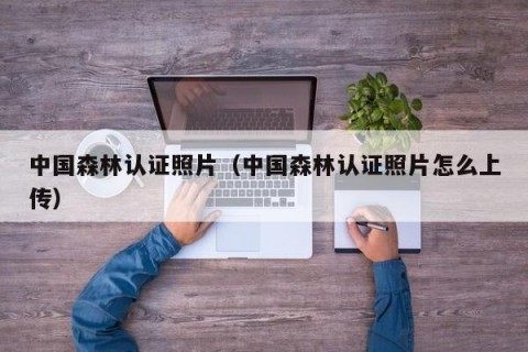 中国森林认证照片（中国森林认证照片怎么上传）