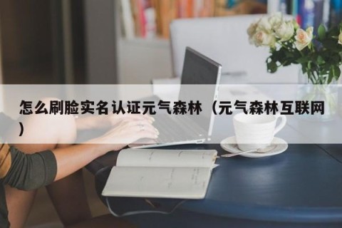 怎么刷脸实名认证元气森林（元气森林互联网）