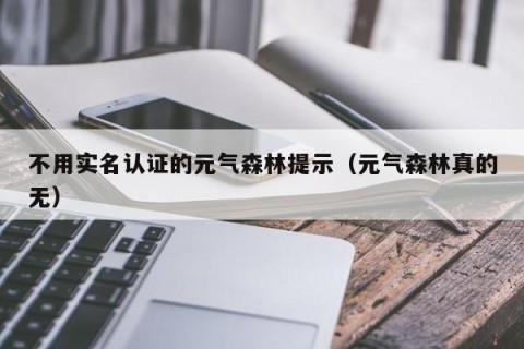 不用实名认证的元气森林提示（元气森林真的无）