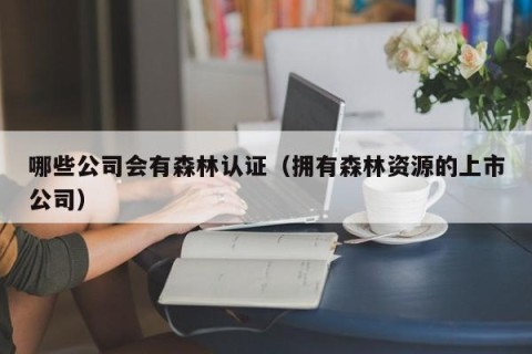 哪些公司会有森林认证（拥有森林资源的上市公司）