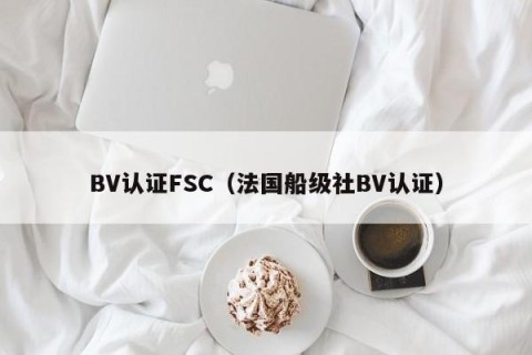 BV认证FSC（法国船级社BV认证）
