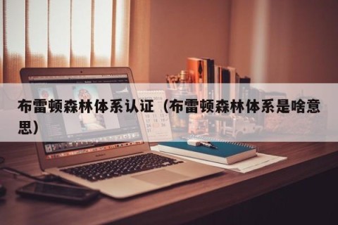 布雷顿森林体系认证（布雷顿森林体系是啥意思）