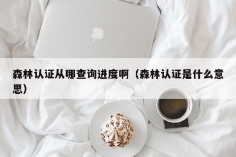 森林认证从哪查询进度啊（森林认证是什么意思）
